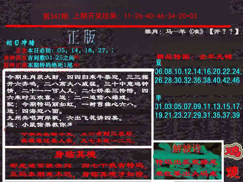 347期新港内幕[图]