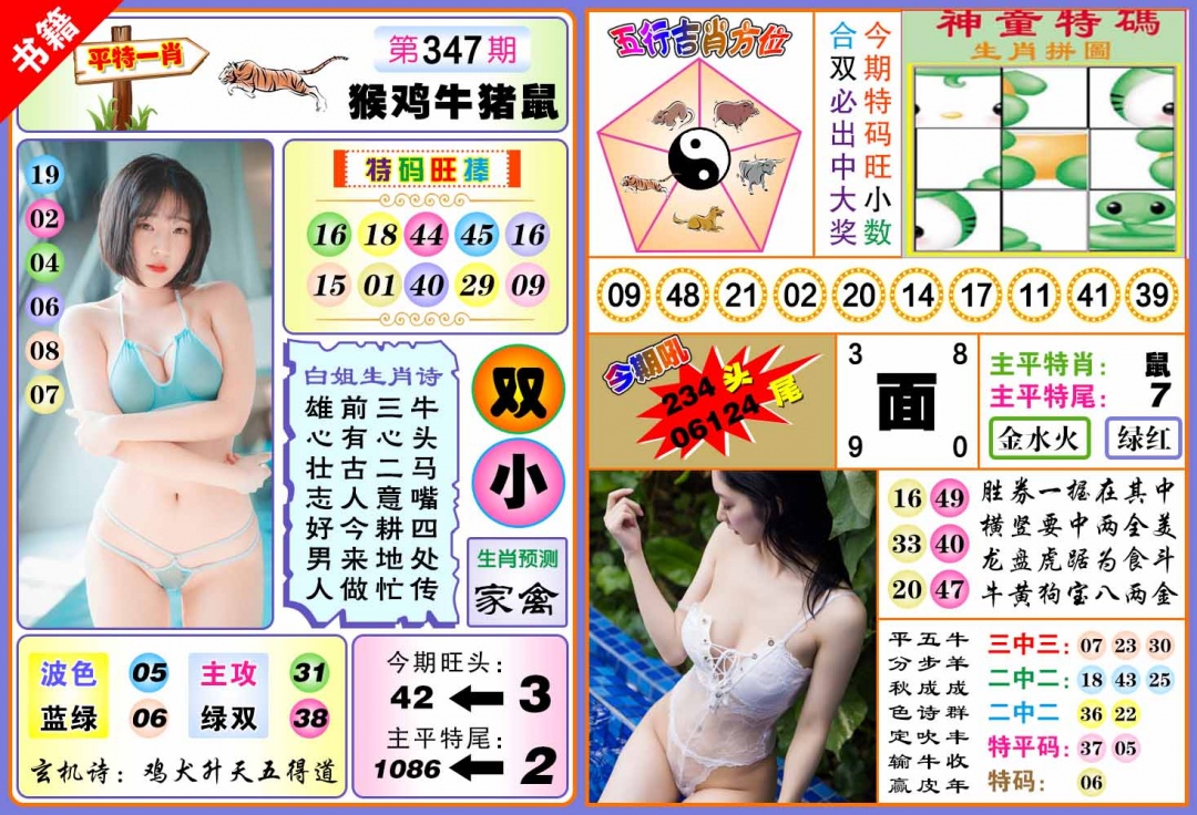 347期澳门五行白姐[图]