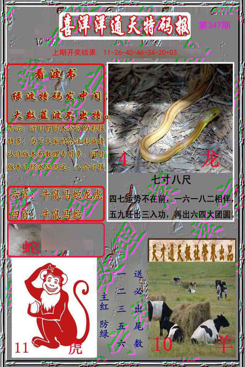 347期洋通报[图]