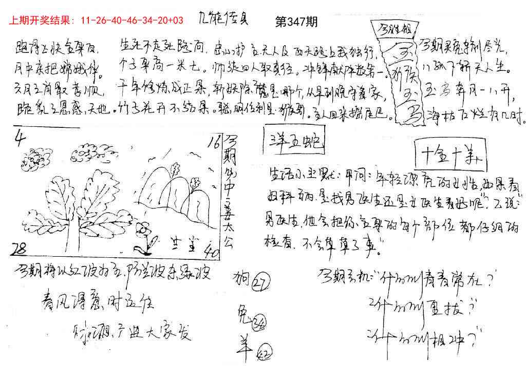 347期手写九龙内幕[图]