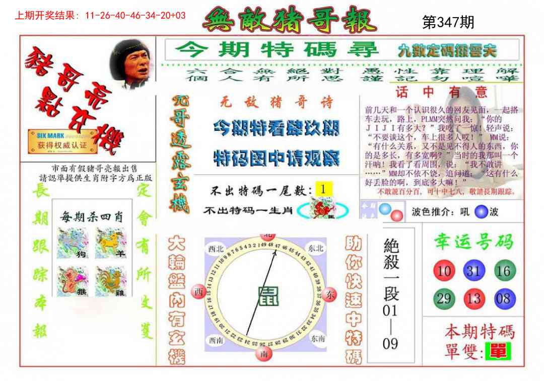 347期无敌猪哥[图]